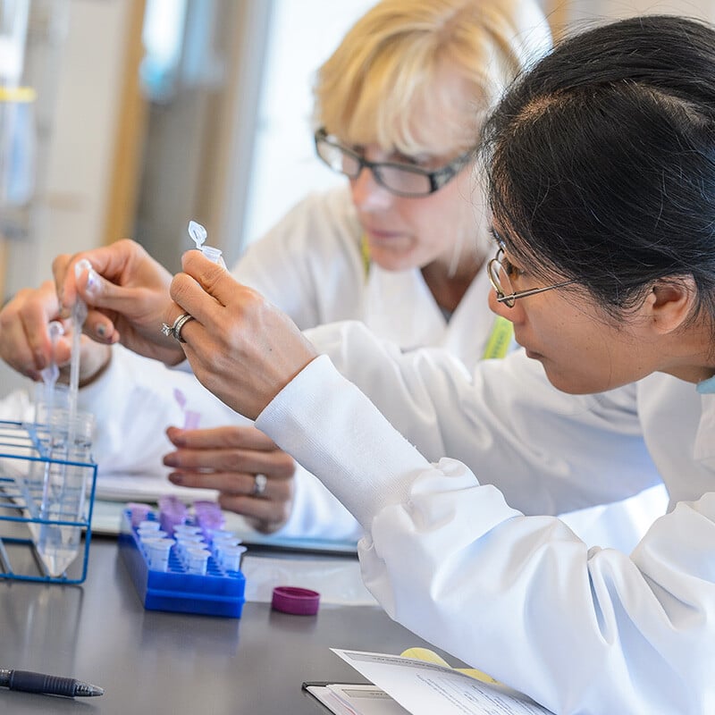 STEM student working in the lab in class at HVCC